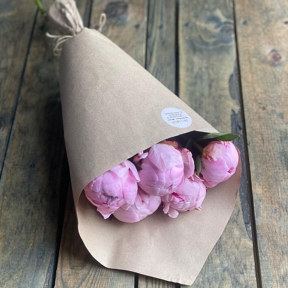 Пионы Сара Бернард Premium Пионы Сара Бернард Premium